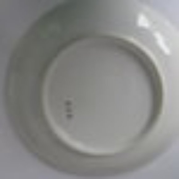 Blue Carnation Hand Painted China Plate Floral Plates for walls Cabinet Plates - Picture 5 of 5